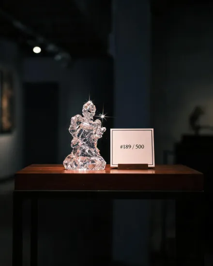 Collector edition display